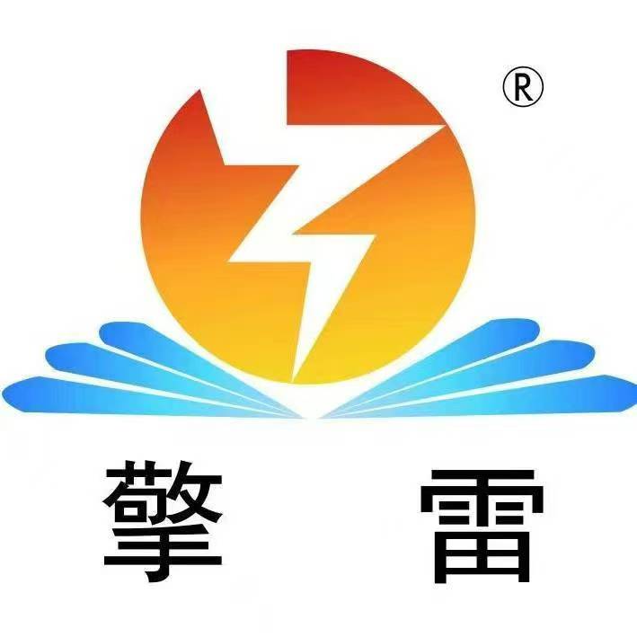 山東擎雷環境科技股份有限公司