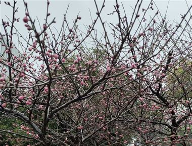 《2026年浙江省推進(jìn)產(chǎn)業(yè)數(shù)據(jù)價(jià)值化與數(shù)字基礎(chǔ)設(shè)施發(fā)展工作要點(diǎn)》印發(fā)